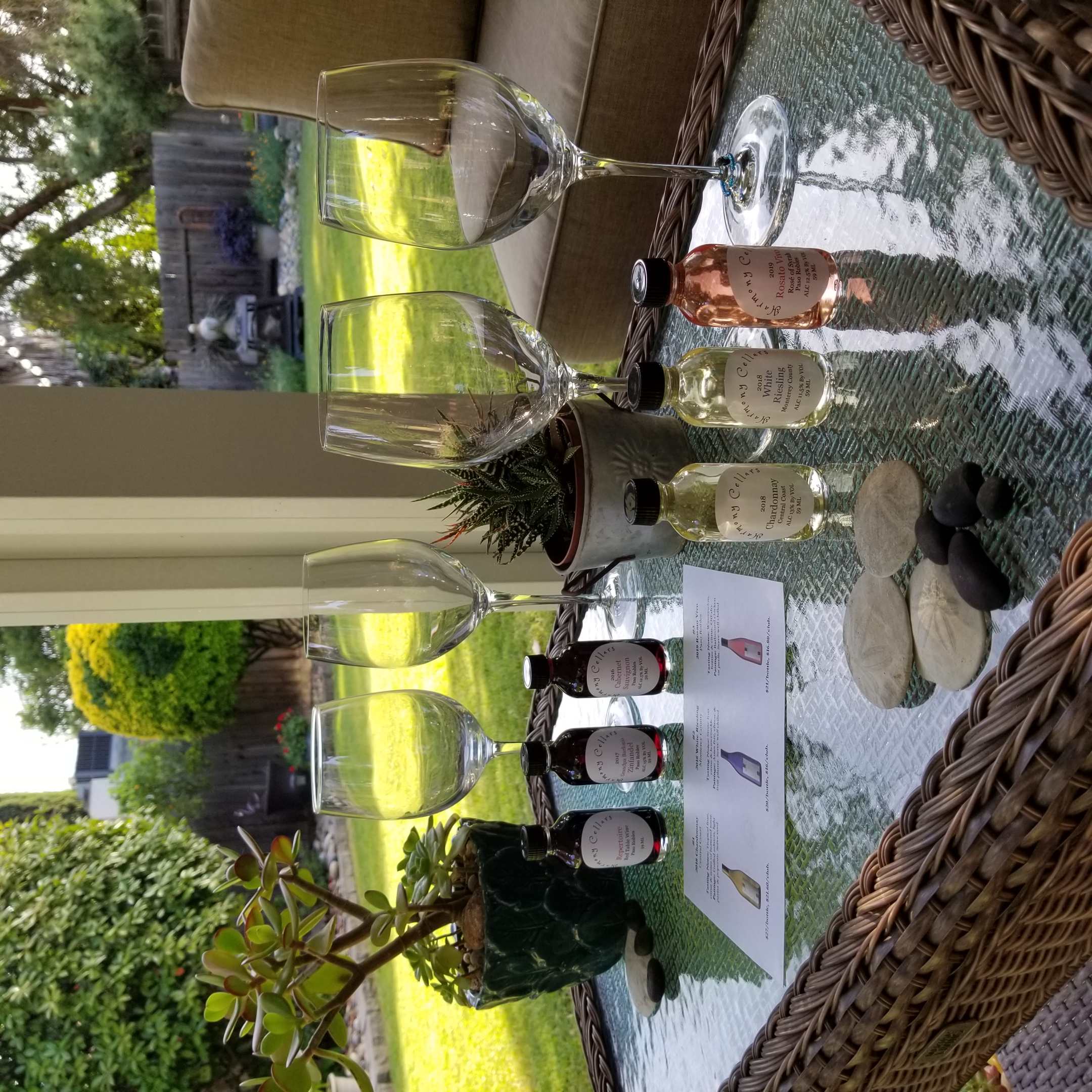 The Best Wine Tasting Kits & Other Fun At Home Experiences Paso